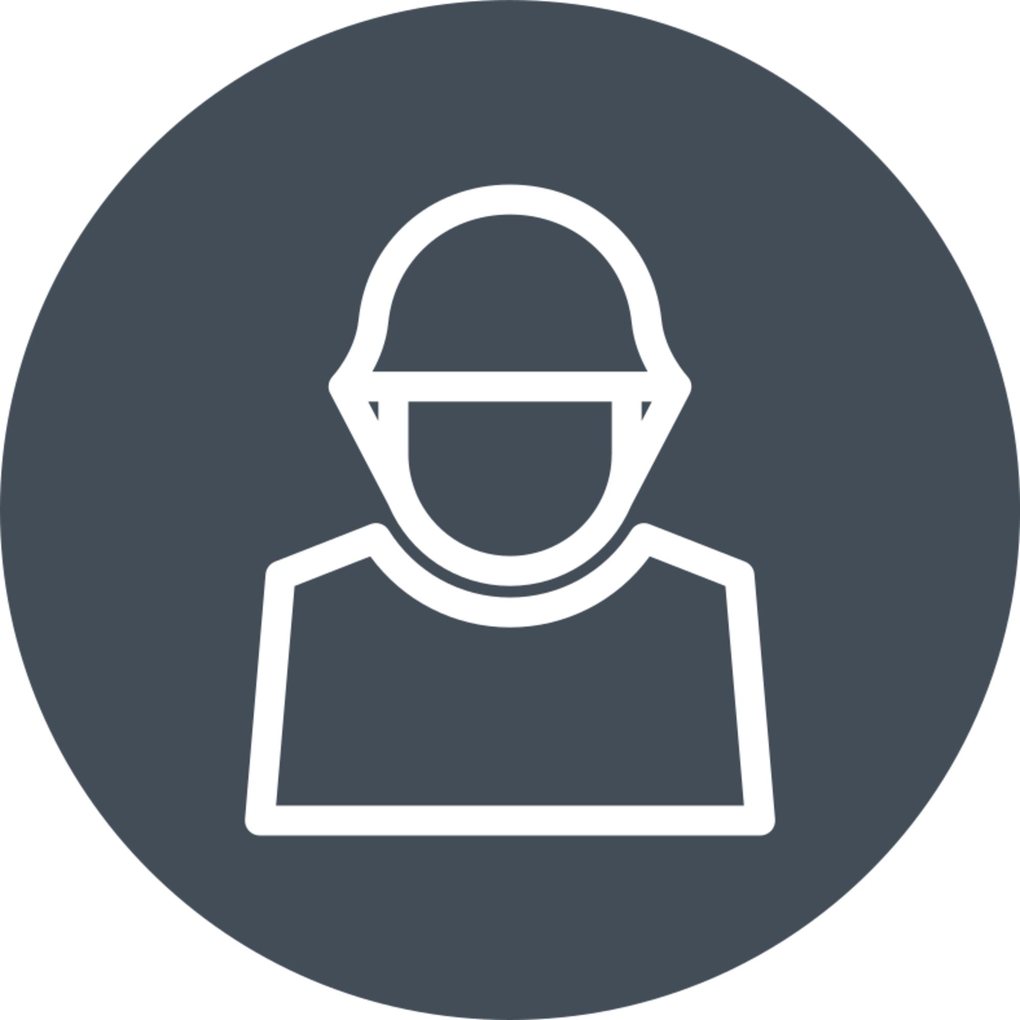 gu-bks-gemos-branche-kritische-infrastruktur-icon