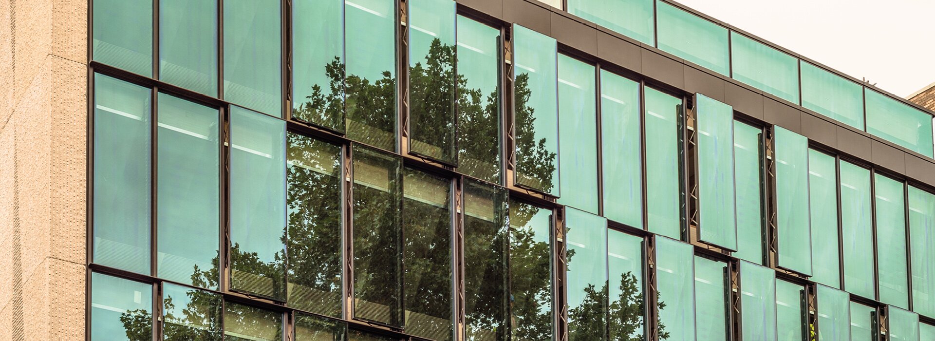 yeşil güneş koruyucu camlı cam cephe