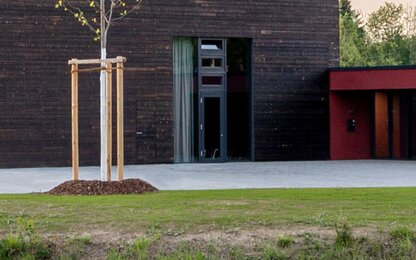 Ağaçlı ve pencereli modern ticari bina