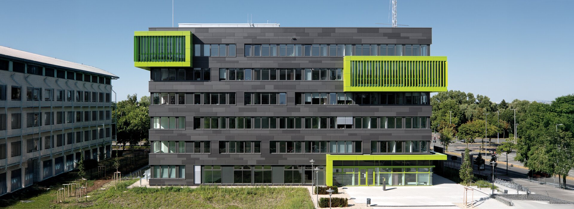 Yeşil vurgulara sahip modern gri üniversite binası