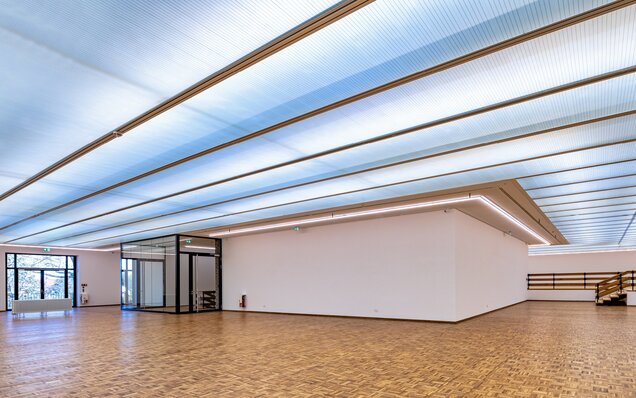 Parke ve asansörlü modern oda