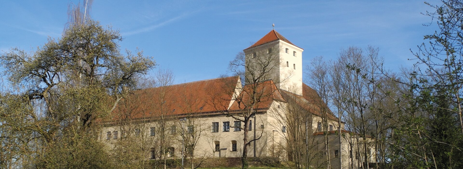 Historic castle with tower and trees