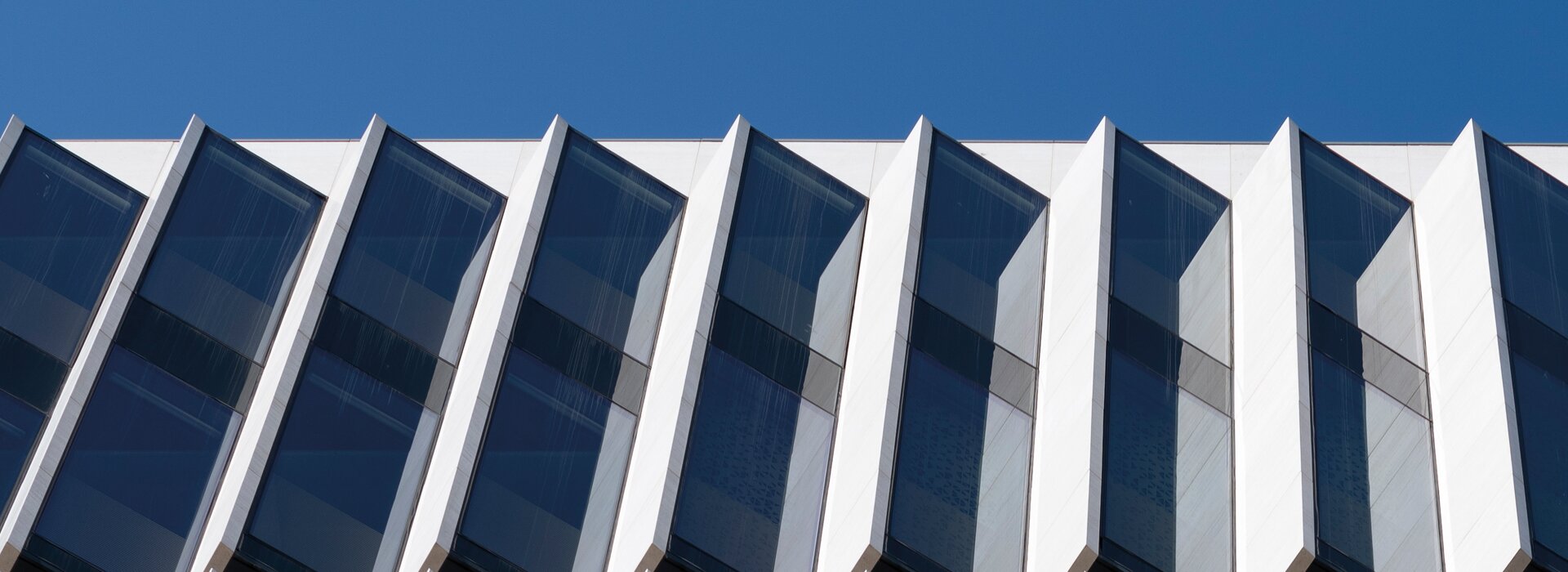 Modern building with a light facade, in front of it a busy stop and city life